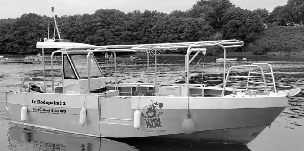 Bateau professionnel pour la plongée | La Réunion Bateau professionnel pour la plongée | La Réunion
