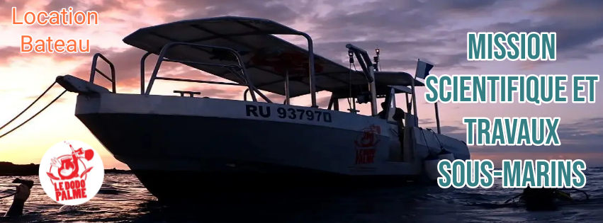 Location Bateau | Mission Scientifique | Travaux Sous-Marins | La Réunion